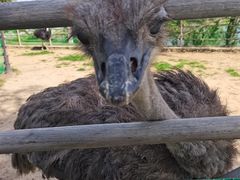 -羊亭河湿地公园