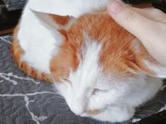 -平行世界·猫咖(首经贸店)