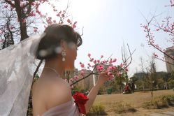 点击看大图 -遇见爱婚庆鲜花(无为铁山路店)