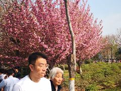 -西安青龙寺遗址景区
