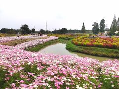 -花开海上生态园