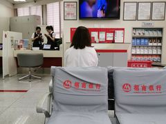 -招商银行(北京十里河支行)
