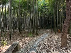 -宝岩生态观光园