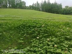 -成都保利公园皇冠假日酒店(熊猫基地店)
