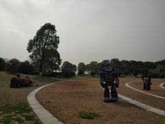 -漕湖湿地公园