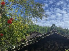 -MOJ coffee(瓯海泽雅水碓坑店)