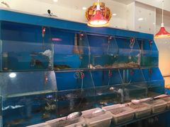 水产区-红灯笼龙凤饭店(宁波老字号店)