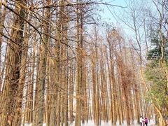 -东湖落雁景区
