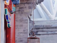 -北京古城老院厉晓麟精致菜