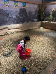 -造物庄园 萌宠纪(苏州湾歌林公园店)