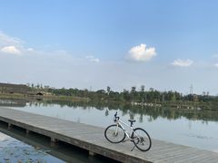 -白鹭湾湿地公园