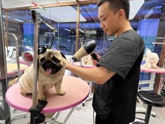 -FAELING PETS美天灵宠物(富力广场店)