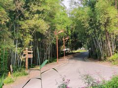 -南宁良凤江国家森林公园