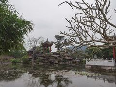 -顺峰山公园