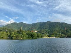 -深圳仙湖植物园