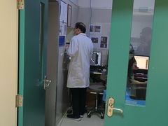 -康旭宠物医院(郑州总院)