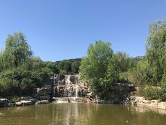 -北京西山国家森林公园