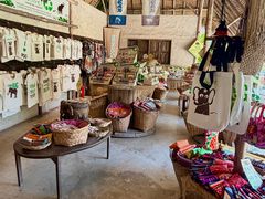 -大象粑粑造纸公园