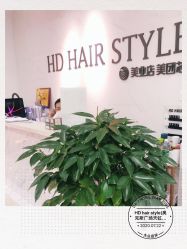 点击看大图 -HD HAIR STYLE