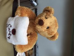 泰迪熊博物馆-济州岛泰迪熊博物馆