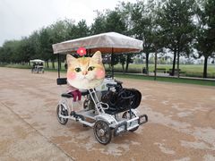 -汉长安城未央宫国家考古遗址公园