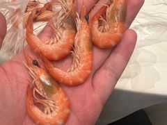 -沙龙酒家