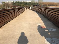 -昆山城市生态森林公园