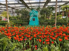 -南宫五洲植物乐园