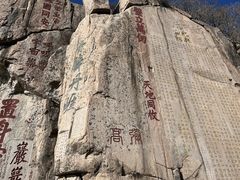 -泰山花样年华景区