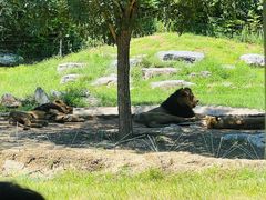 -北京野生动物园