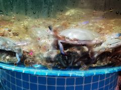 -蓝珊甄选海鲜自助·火锅大排档(近阿那亚店)