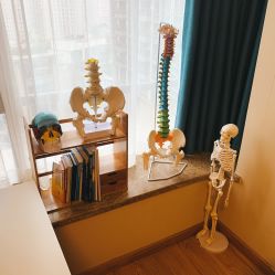 -FACE·日本小颜矫正美容整骨サロン