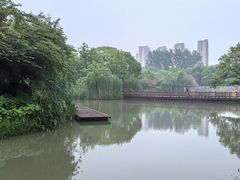 -青枫公园