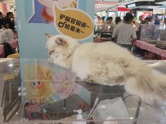 -巴黎春天(浦建店)
