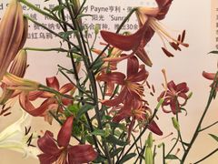 -中国农业博物馆