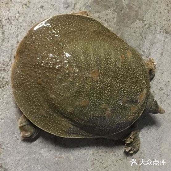 田心农庄