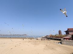 -八仙过海景区