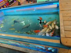 -卡通尼·Safari非洲探索乐园·生日会(金桥国际商业广场店)