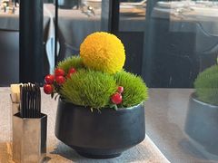 -柿合缘新京菜(国金中心商场店)