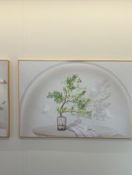 -北京京通医院医疗美容