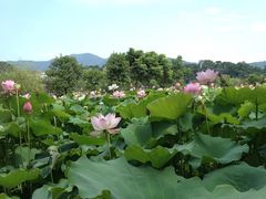 -韶山毛泽东同志故居