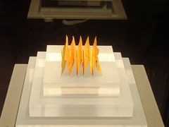 -温州博物馆