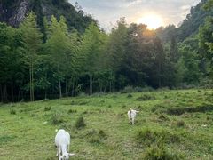 -楠溪江风景名胜区