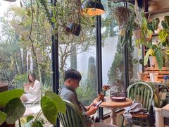 -自由生长植物工作室(深港花卉中心店)
