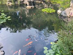 -苏州冶园园林民宿(太湖西山风景区店)
