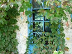 -白塘生态植物园