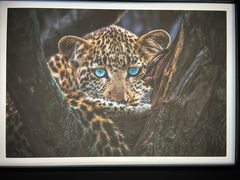 -罗红摄影艺术馆