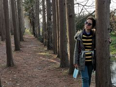 -上海长兴岛郊野公园