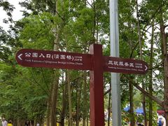 -清溪森林公园