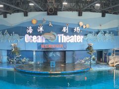 -苏州海洋馆